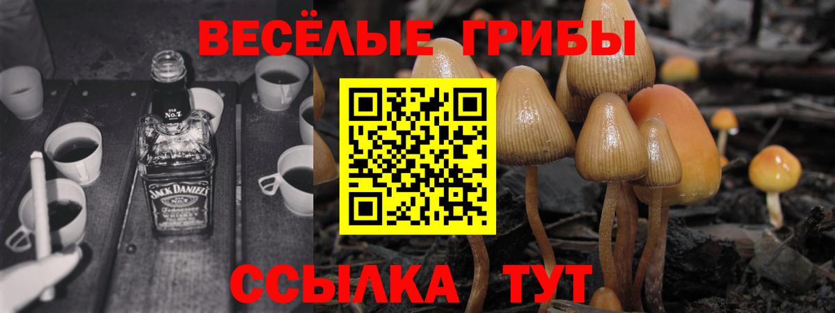 Псилоцибиновые грибы мицелий Тольятти